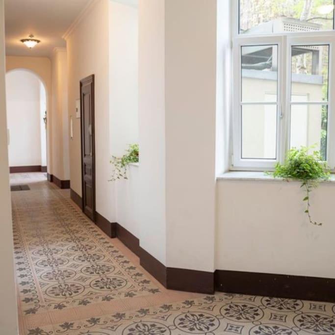 Josef'S Home I Apartment Klaehrgasse I 01 فيينا المظهر الخارجي الصورة
